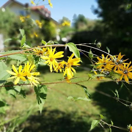 Fewo Happy Place In Traumhafter Lage See Nah Utting am Ammersee Ngoại thất bức ảnh