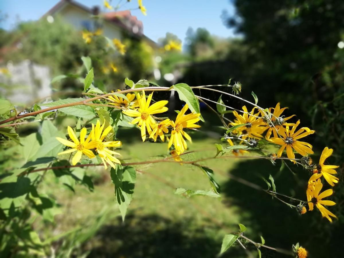 Fewo Happy Place In Traumhafter Lage See Nah Utting am Ammersee Ngoại thất bức ảnh
